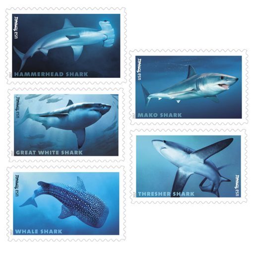 2017 Shark Forever®Stamp | Forever Stamps US Postage Stamps