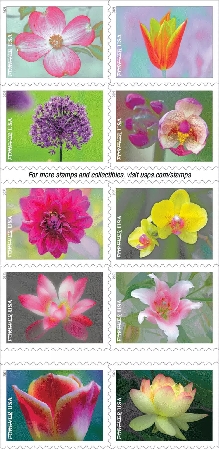 2021 Garden Beauty Stamps - Forever Stamps